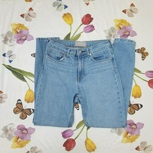 Everlane Skinny Jeans